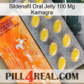 Sildenafil Oral Jelly 100Mg Kamagra new05